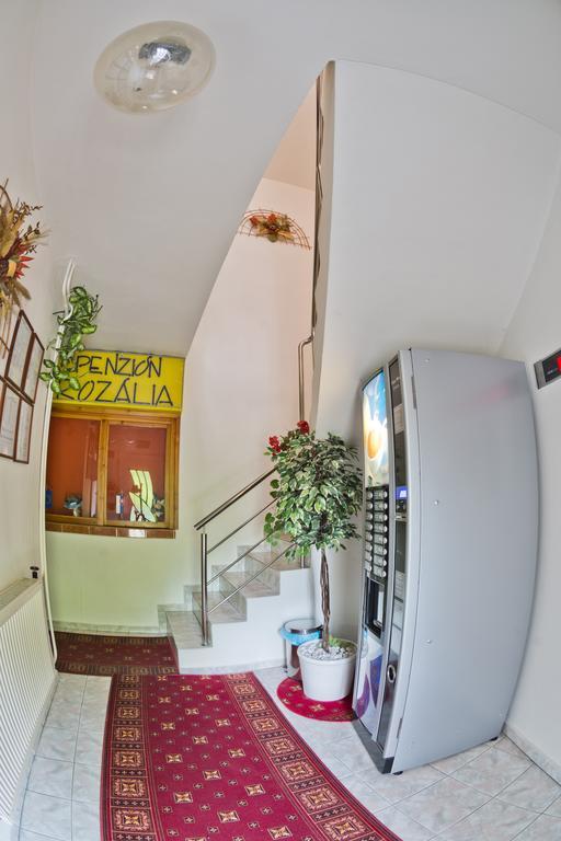 Hotel Penzión Rozália Košice Exterior foto